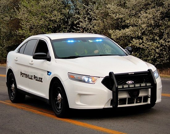 Pottsville AR Police Taurus